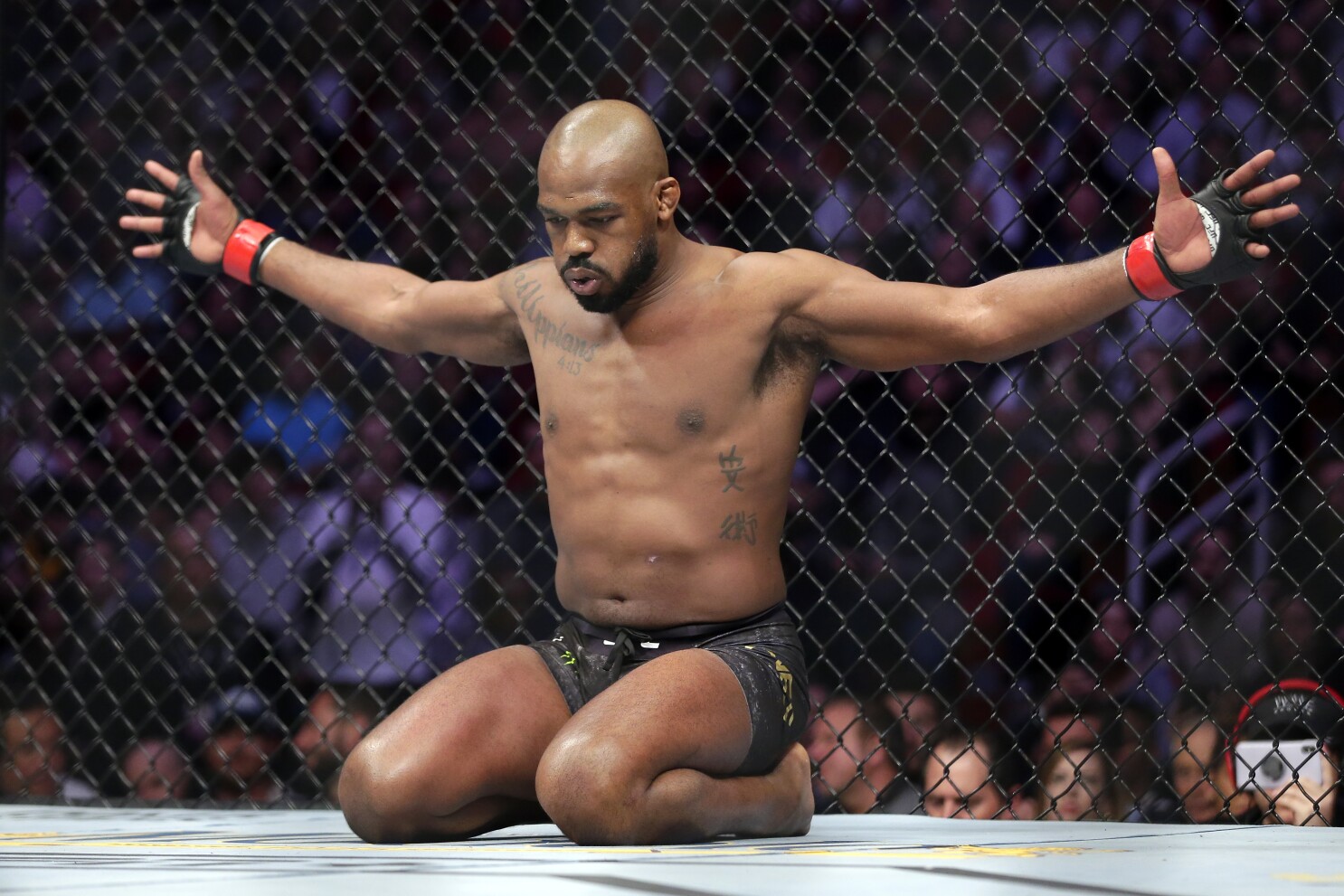Ufc heavyweight champion 2019 sale